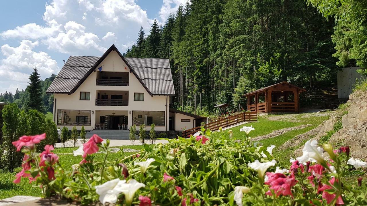 Hotel Perla Padurii Valea Mare  Exterior foto